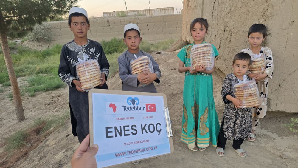 Koyun Kurbanı + 50 Kişilik